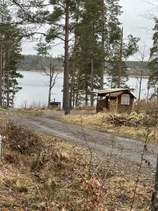 Liten stuga vid sjön på Örnvikens Glamping - naturen precis inpå knuten