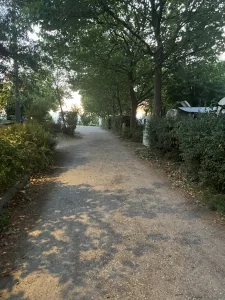 Vi promenerade längs den skuggiga grusvägen genom campingen Sole Langhe en vacker kväll