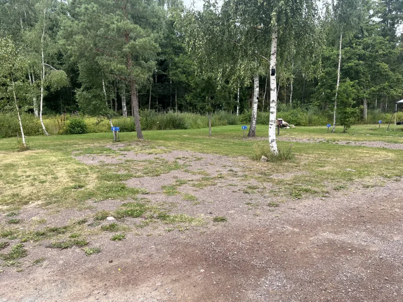 Vi hittade en lugn ställplats i Örserum omgiven av björkar och grönska